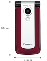  Panasonic VS6 ( Click To Enlarge )